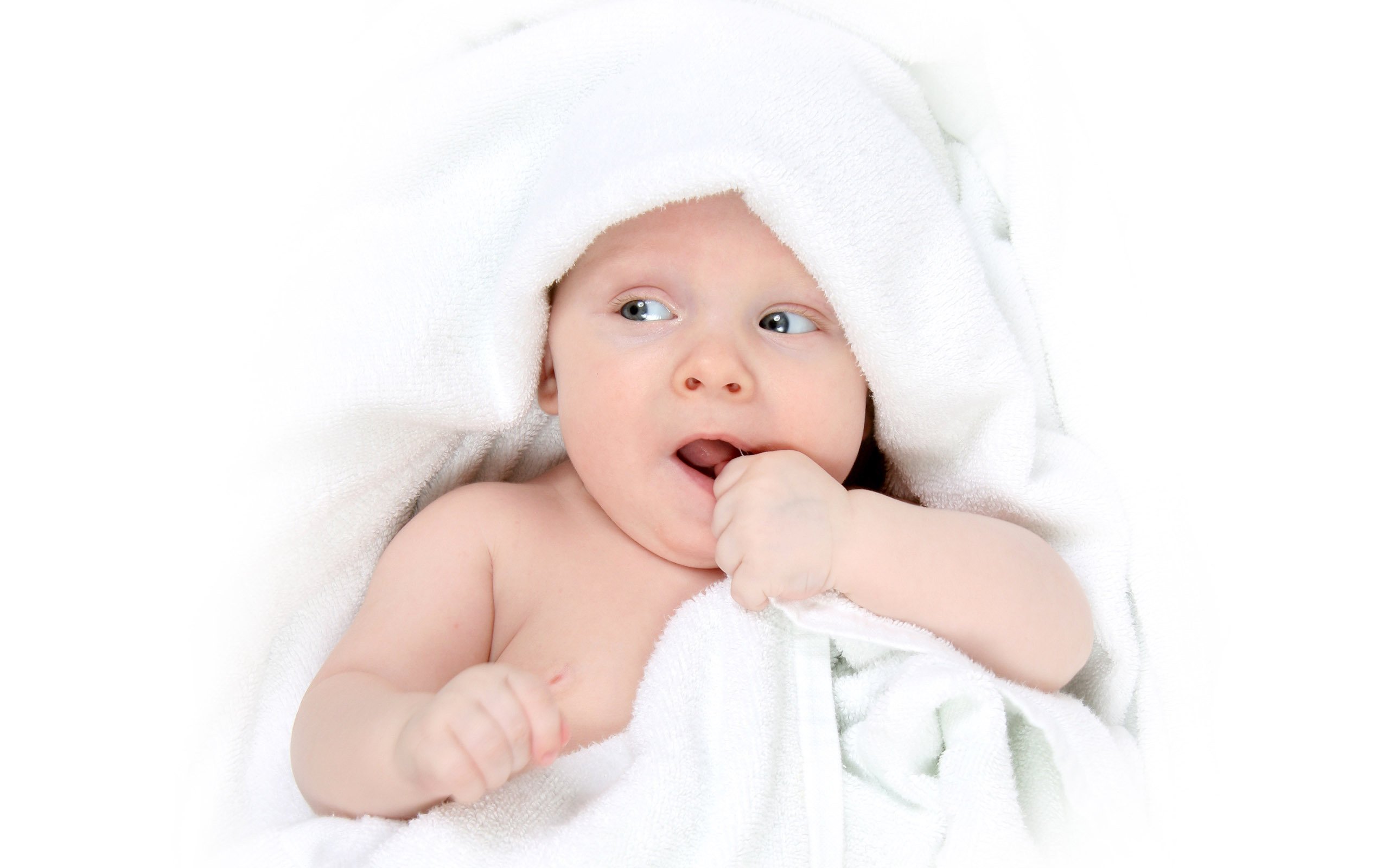 泰州代怀生子助孕机构卵裂期胚胎成功率